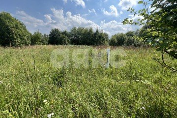 Фото №5: Личное подсобное хозяйство - Степановское, 