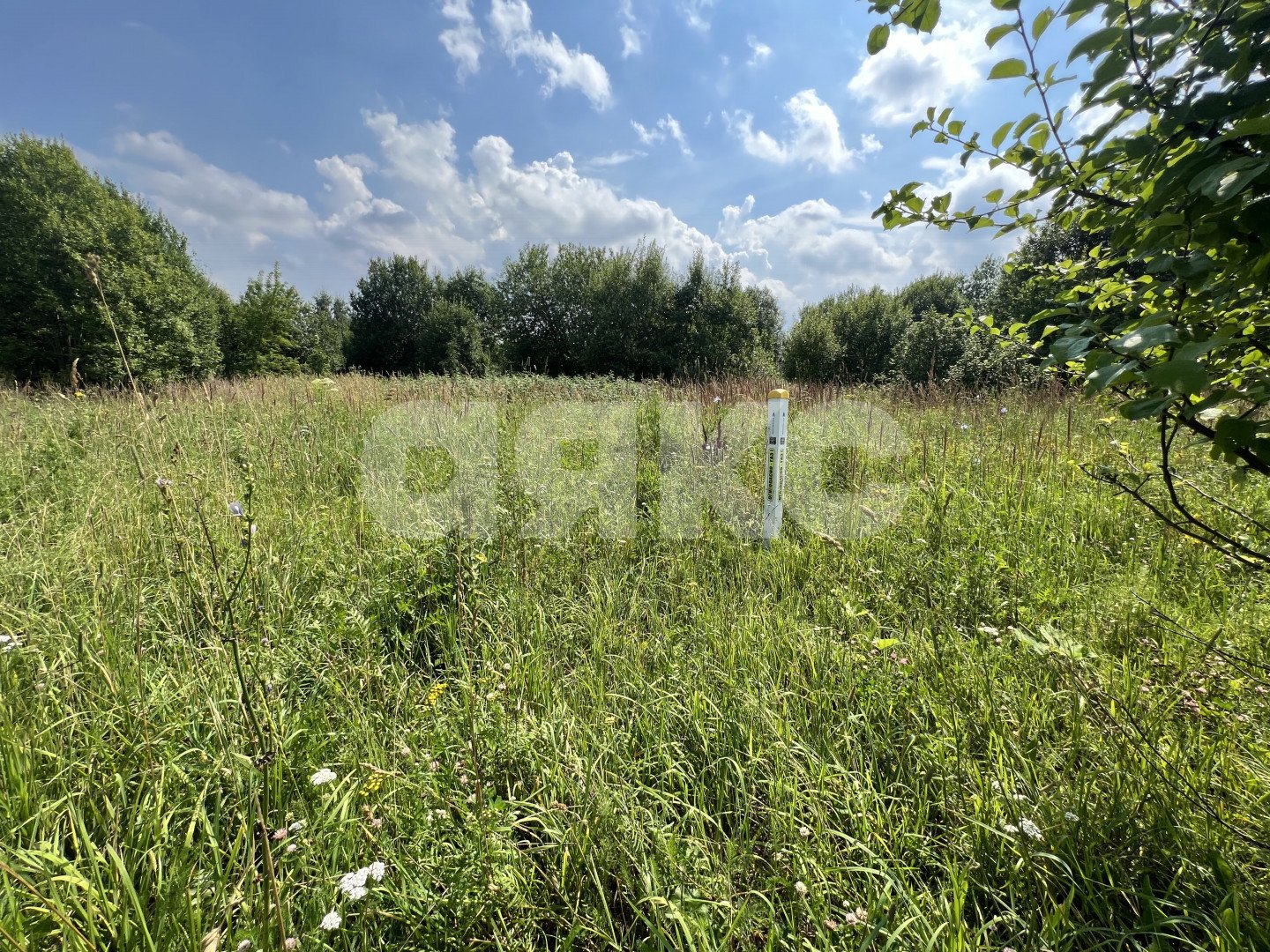 Фото №5: Личное подсобное хозяйство 10 сот. - Степановское