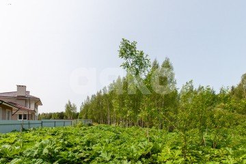 Фото №3: Земельный участок под ИЖС - Московская область Дмитровский муниципальный округ