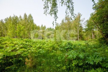 Фото №1: Земельный участок под ИЖС - Московская область Дмитровский муниципальный округ