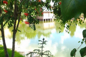 Фото №3: Участок садоводство - Дудкино, мкр. СНТ Дудкино, 67