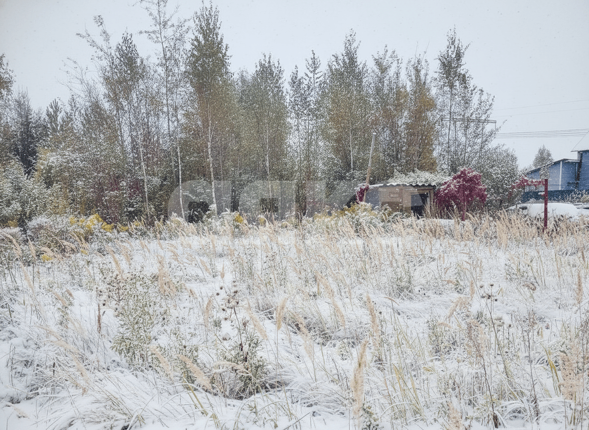 Фото №3: Земельный участок под ИЖС 8 сот. - территория Солнечный Рай, 1