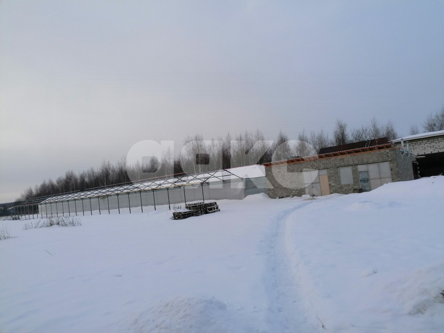 Фото №7: Коммерция 86 м² - Заворово, мкр. 28-й квартал