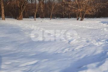 Фото №1: Земельный участок под ИЖС - Малышево, ул. Пограничная, 88