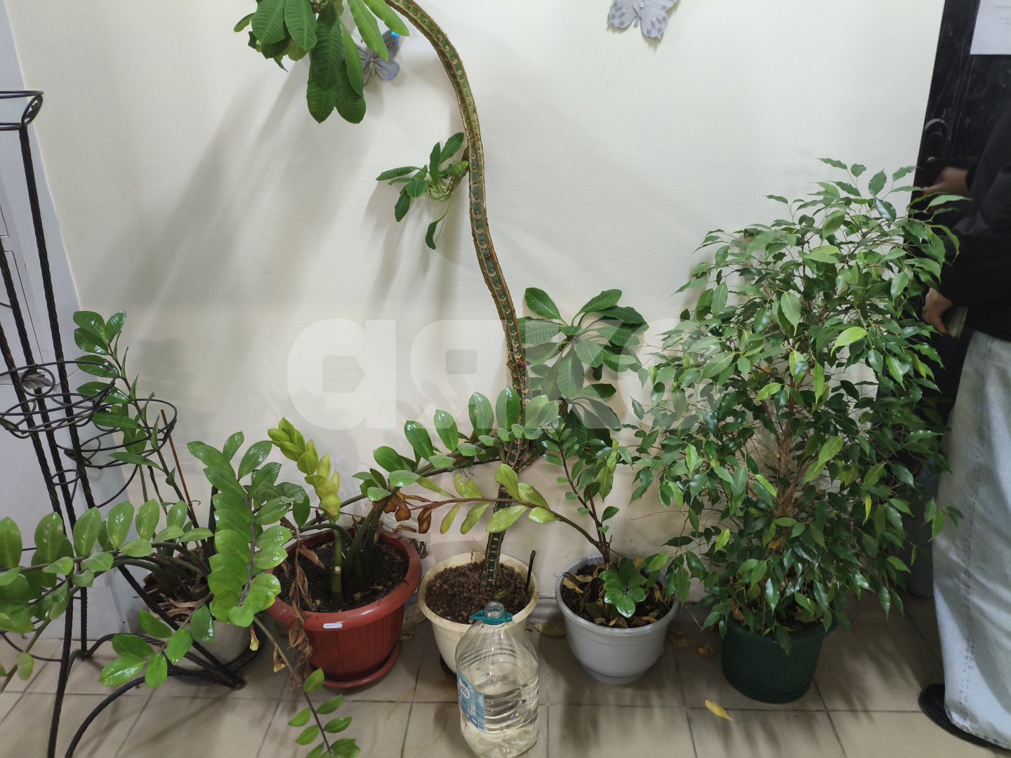 Фото №9: 1-комнатная квартира 42 м² - Раменское, мкр. жилой комплекс Зелёная Околица, ул. Крымская, 7